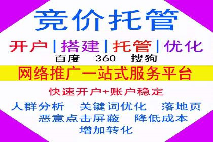 某电商企业如何通过百度竞价广告提升销售额